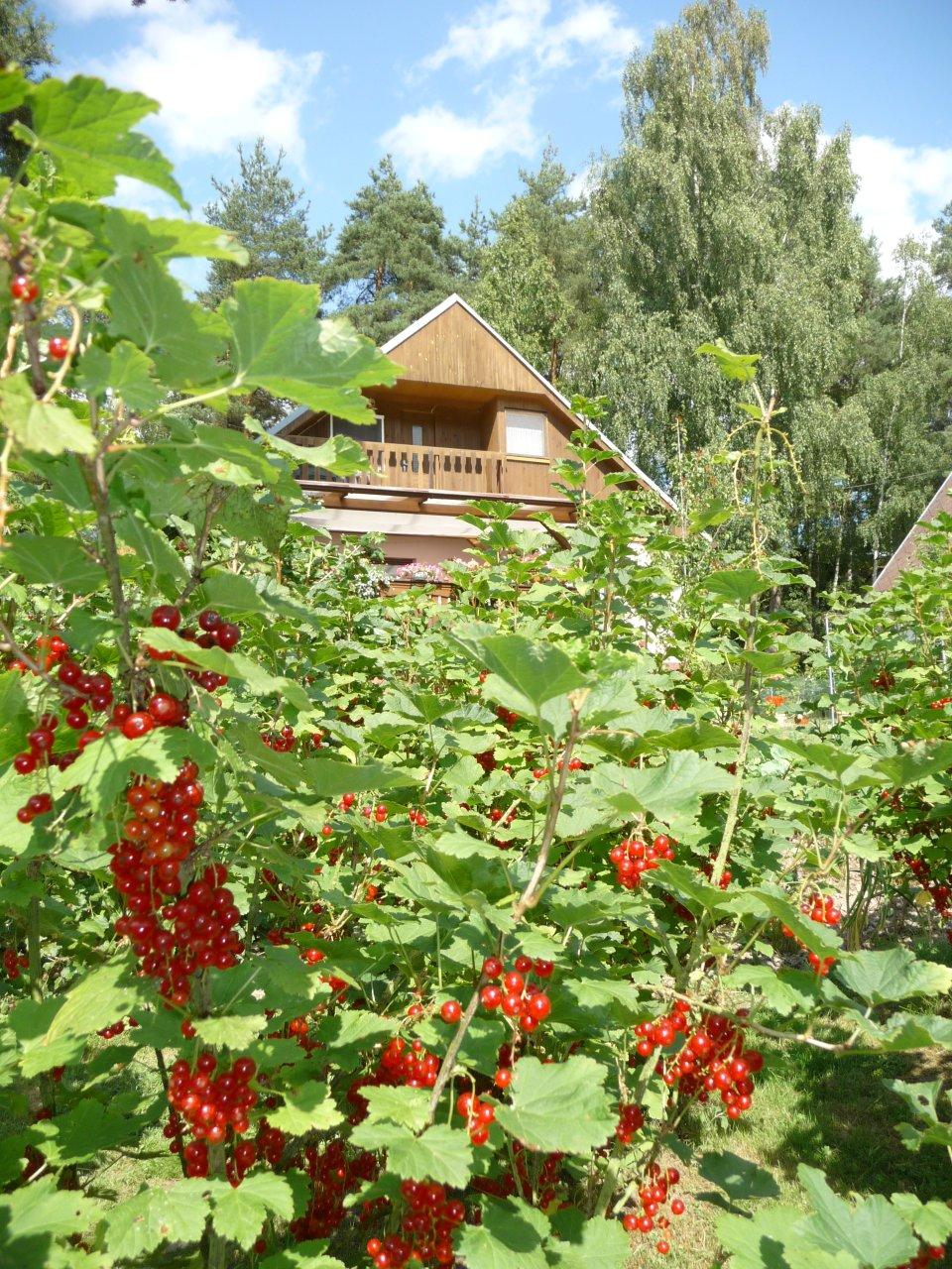 Hradec u Stodu (chat.os.Babylon)